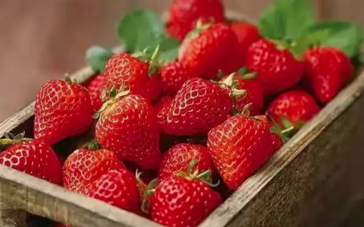 “云南·会泽·待补夏季草莓”宣传logo征集