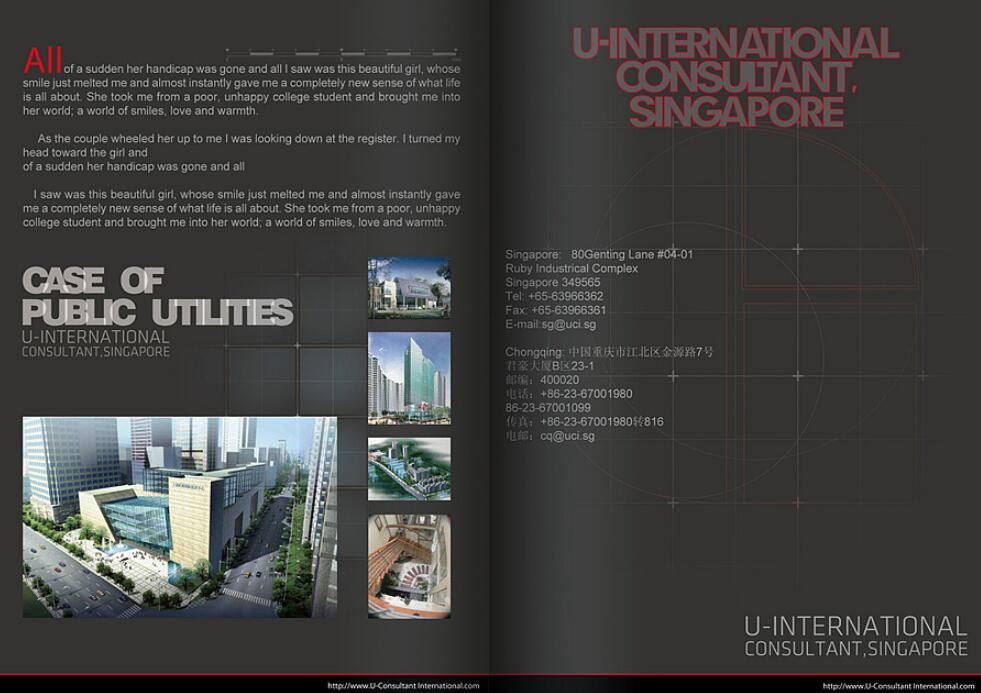 新加坡建筑行业画册设计案例欣赏 