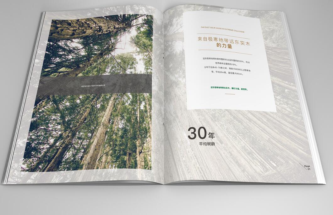 绿色环保地板行业画册设计案例欣赏 