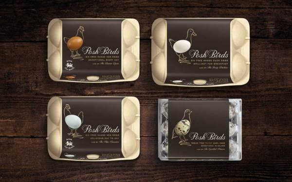 高品质蛋类食品创意包装设计 