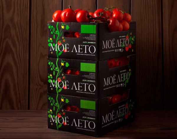 番茄创意包装设计 