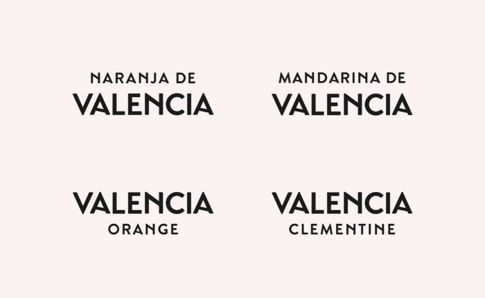 西班牙柑橘橙子创意包装设计 