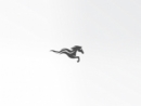 飞驰的骏马logo设计案例赏析 