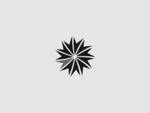 国外简洁典雅logo设计案例赏析 