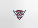 爱吃鱼的大嘴鹈鹕鸟logo设计案例赏析 