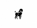 可爱简洁的北极熊等动物logo设计案例赏析 