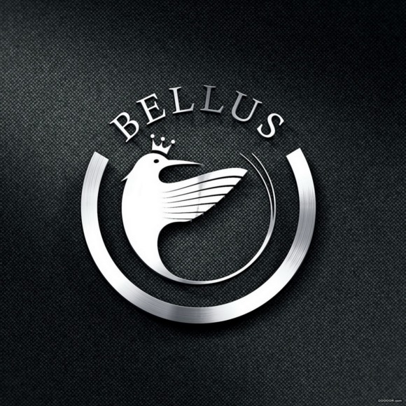 BELLUS服装品牌燕尾蜂鸟VI设计案例赏析 