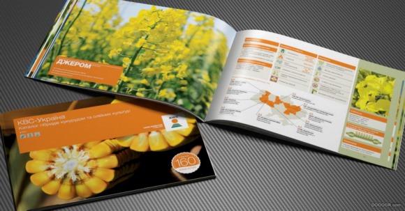 全本绿色农业农产品玉米水稻种子粮食画册设计案例赏析 