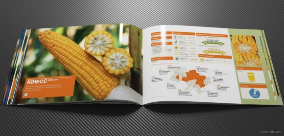 全本绿色农业农产品玉米水稻种子粮食画册设计案例赏析 