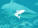 美丽的珊瑚鱼可爱的海豚海底动物logo设计案例赏析 