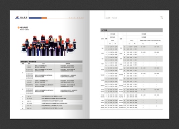 武汉南大黄华电力设备安装工程有限公司画册设计案例赏析 