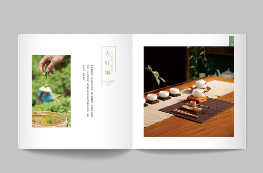 武夷山茶产品宣传册设计 