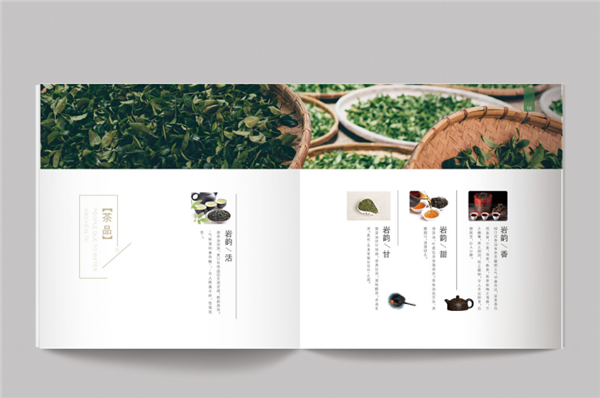 武夷山茶产品宣传册设计 
