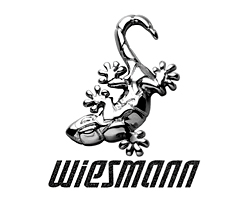 威兹曼汽车标志设计含义 