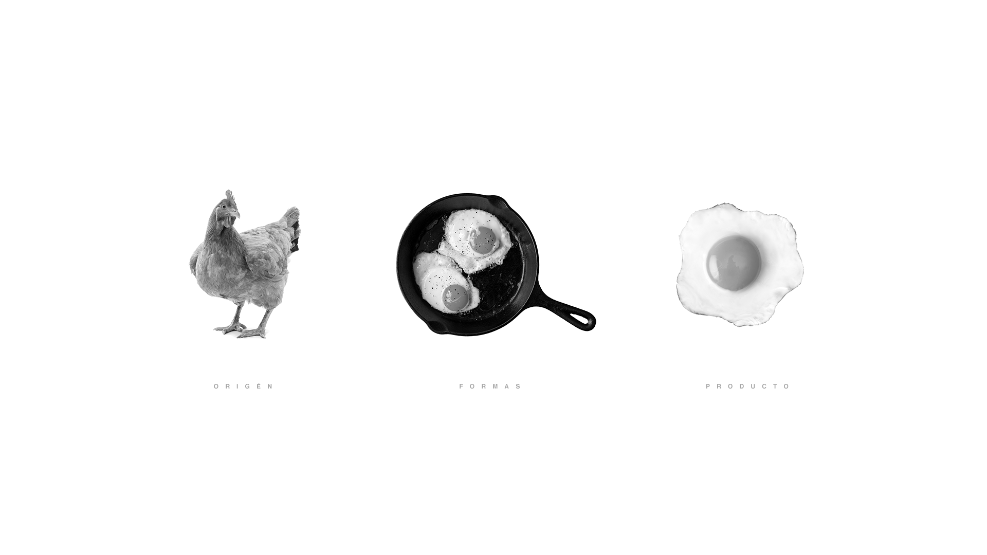 艺点鸡蛋品牌vi设计案例分享-每天一点创意 