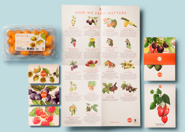 水果礼盒设计如何选择包装材质 