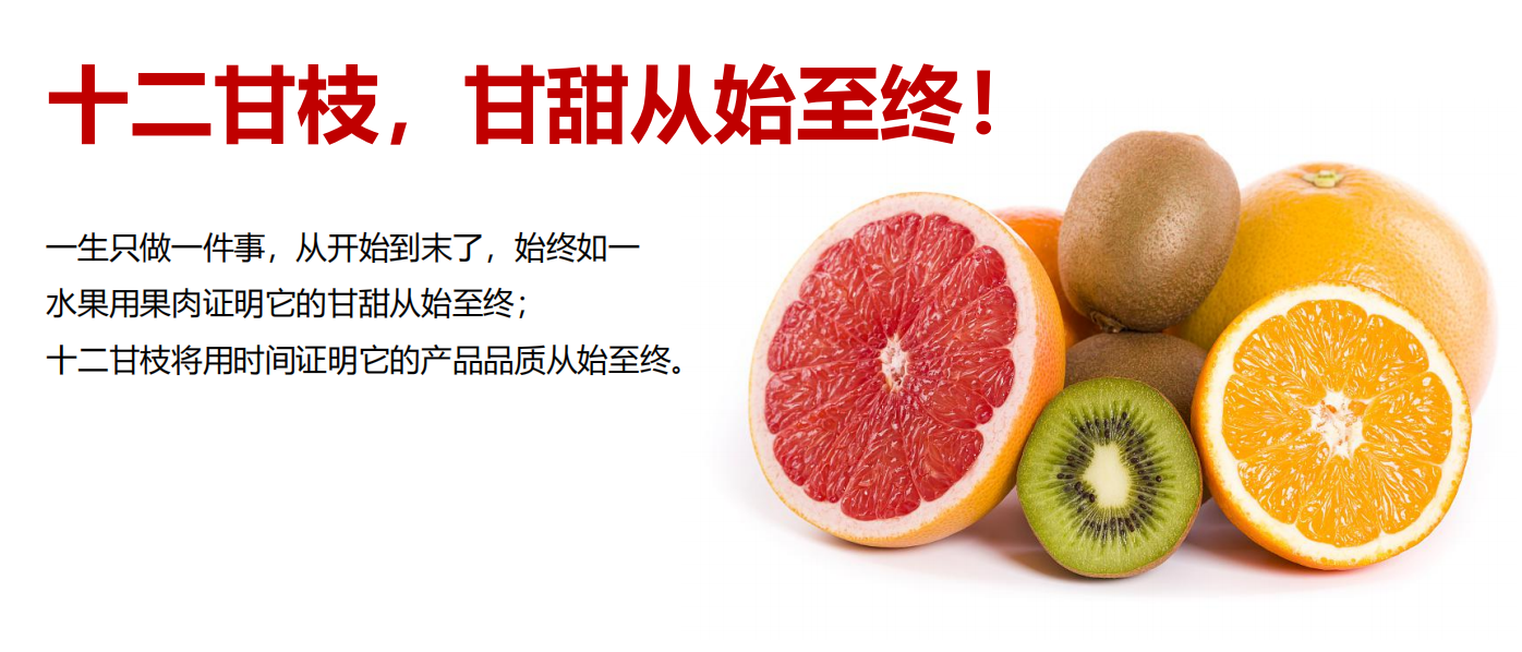 水果农产品VI设计(十二甘枝)_农产品包装设计
