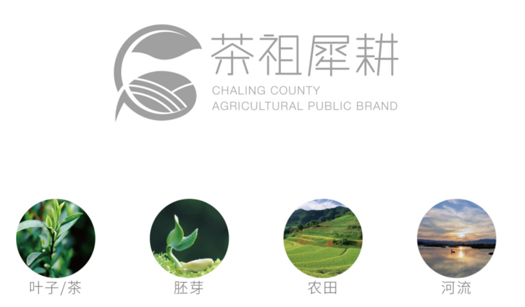 区域农特产品牌|湖南茶陵县·茶祖犀耕 