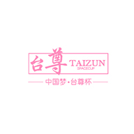 TAIZUN台尊品牌宣传标语：简约时尚 