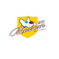 BLOSSOM初花品牌宣传标语：初花产品，让主人放心，让宠物舒适 
