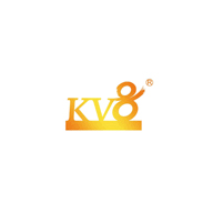 卡琳娜KV8品牌宣传标语：趣智生活 
