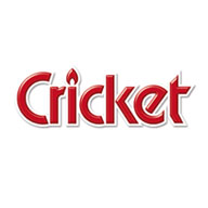 Cricket草蜢品牌宣传标语：Cricket 点亮你的世界 
