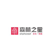 森林之星品牌宣传标语：个性化装修，首选森林之星 