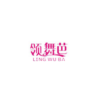 LINGWUBA领舞芭品牌宣传标语：风格，年轻人追捧的文化 