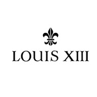 LOUISXIII路易十三品牌宣传标语：时光典藏，世代传承 