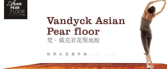 VANDYCK梵戴克地板品牌宣传标语：健康、环保、安心
