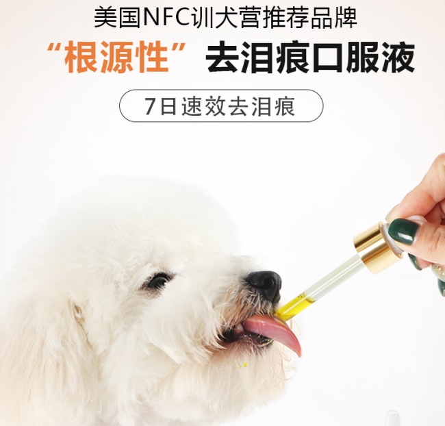 宠多滋品牌宣传标语：宠物得到人间关爱