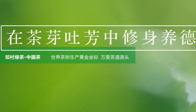 邓村绿茶品牌宣传标语：用心品鉴