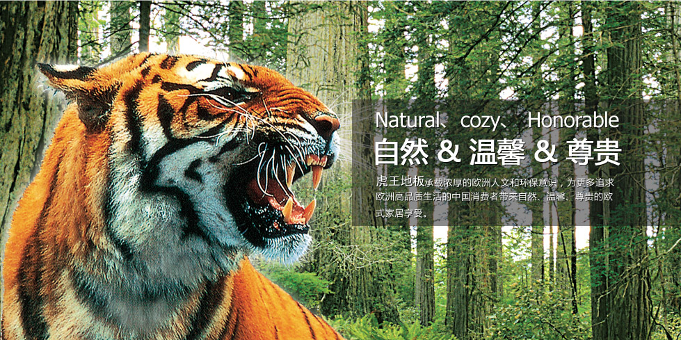 虎王地板TigerKing品牌宣传标语：自然 温馨 尊贵
