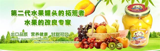 华旭品牌宣传标语：水果的改良专家