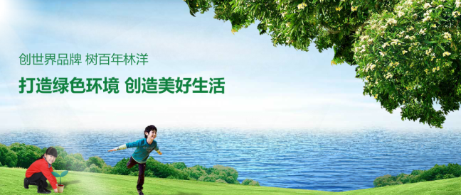 林洋LINYANG品牌宣传标语：创世界品牌 树百年林洋