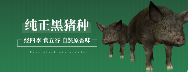 徒河品牌宣传标语：徒河黑猪自然原香味