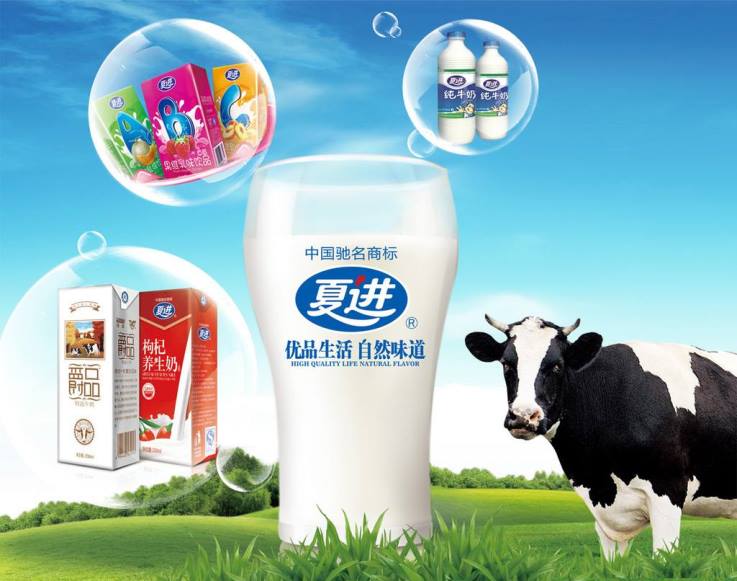 夏进品牌宣传标语：宁夏北纬38度 塞上奶源
