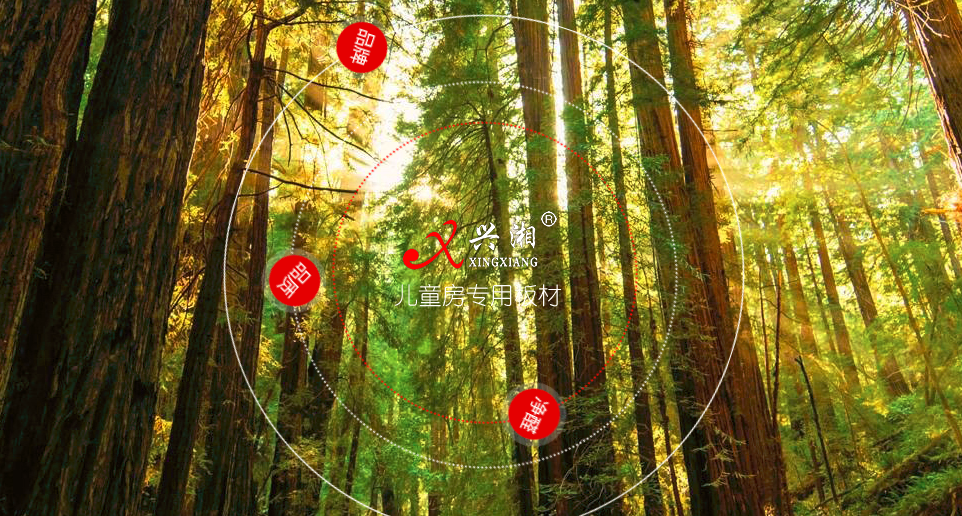 興事發(fā)門窗品牌宣傳標(biāo)語(yǔ)：致力創(chuàng)造美好生活，用心改善人居生活 