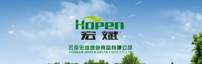 Hopen宏斌品牌宣传标语：充分享受舌尖上的五味杂陈
