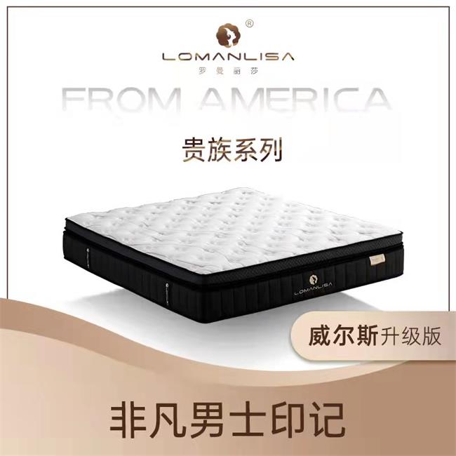 LOMANLISA罗曼丽莎品牌宣传标语：专注打造健康睡眠空间