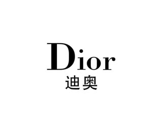 迪奥箱包广告 