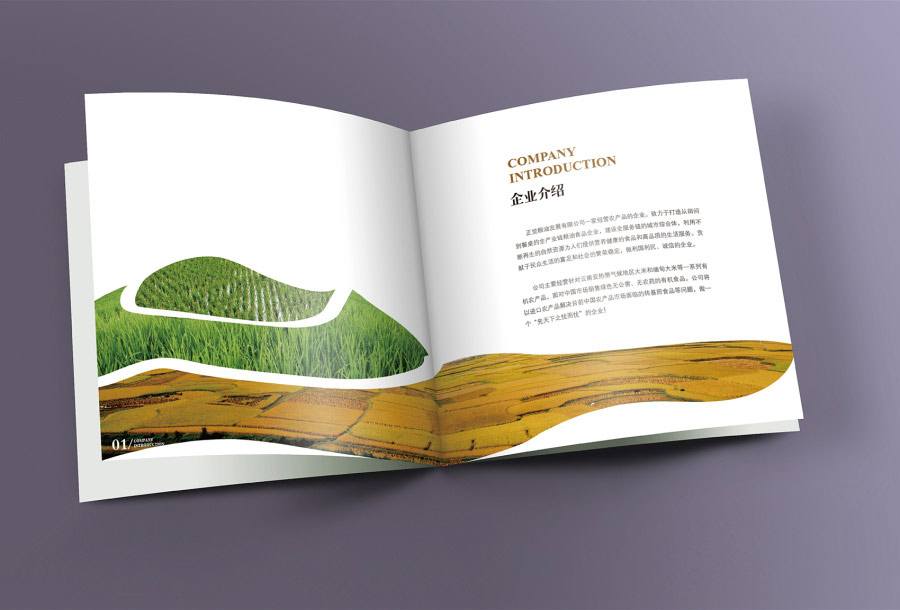 画册设计中文字有什么作用