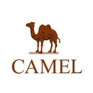 骆驼品牌宣传标语：单挑世界，骆驼凶猛