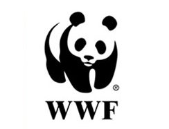 世界自然基金会logo设计理念
