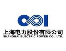 上海电力股份公司LOGO设计理念