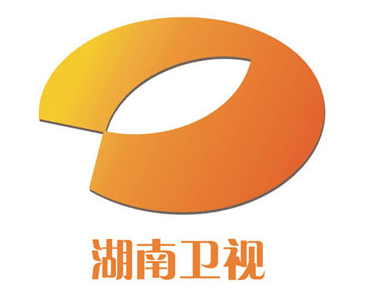 湖南卫视台logo设计理念