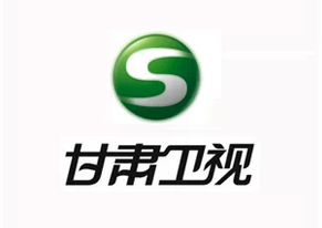 甘肃卫视logo设计理念