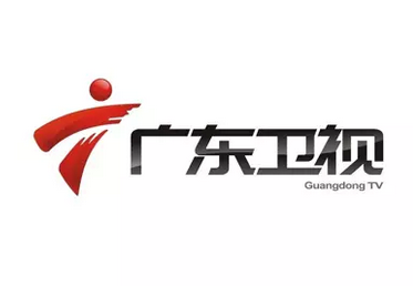 广东电视台图片logo设计理念
