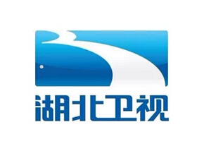湖北卫视logo设计理念