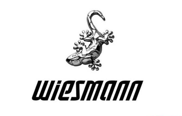 威兹曼logo设计理念